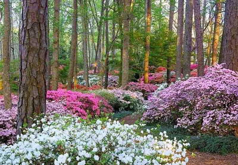 The Lodge And Spa At Callaway Gardens ไพน์ เมาน์เทน ภายนอก รูปภาพ